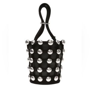 Alexander Wang Roxy bag